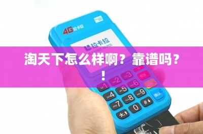 淘天下移动支付设备评测 靠谱与便利并存，但需谨慎选择