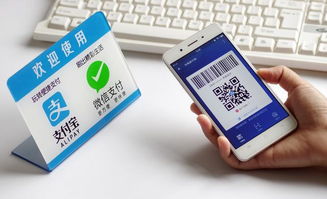 流动的边界 港深移动支付的天壤之别